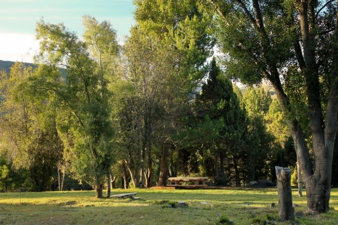 LOTE EN LA JAURIA 