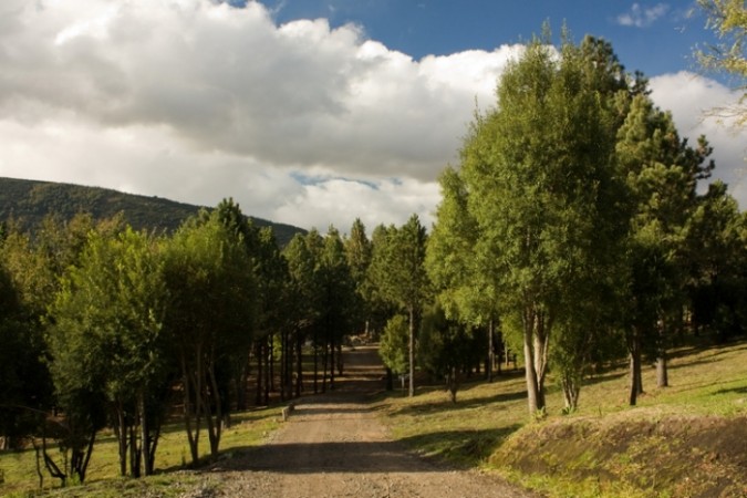 LOTE EN LA JAURIA 