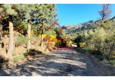 LOTE EN ALTOS DEL CHAPELCO 